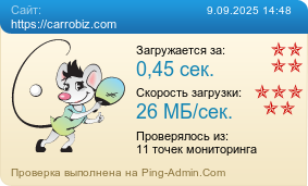 Усреднённые результаты проверки сайта https://carrobiz.com