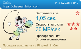 Усреднённые результаты проверки сайта https://chaseambition.com