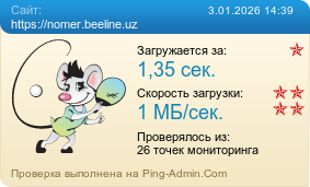 Усреднённые результаты проверки сайта https://nomer.beeline.uz