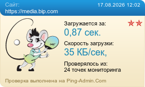 Усреднённые результаты проверки сайта https://media.bip.com