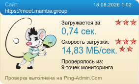 Усреднённые результаты проверки сайта https://meet.mamba.group