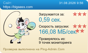 Усреднённые результаты проверки сайта https://bigaass.com