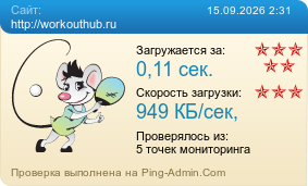 Усреднённые результаты проверки сайта http://workouthub.ru