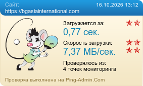 Усреднённые результаты проверки сайта https://bgasiainternational.com