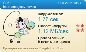 ����������� ���������� �������� ����� https://magiacvetov.ru